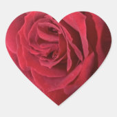 Red Rose Hart Sticker (Voorkant)
