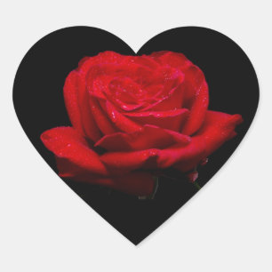 Red Rose Hart Sticker