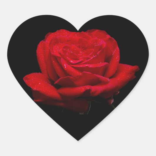 Red Rose Hart Sticker (Voorkant)