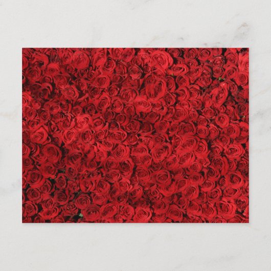 Red Rose Heart bespaart de datum-sluitingskaart Informatiekaartje (Achterkant)