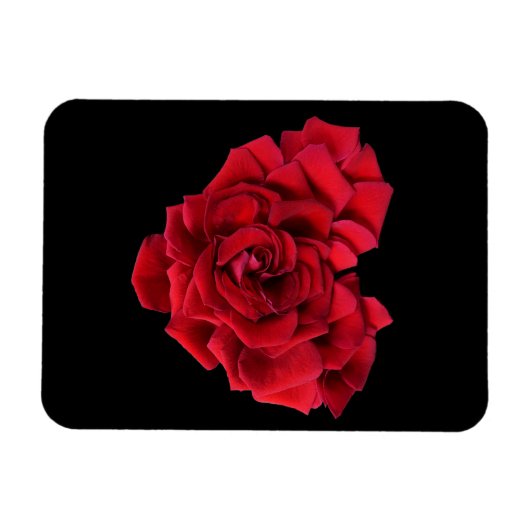 Red Rose Heart Black Magneet (Horizontaal)