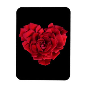 Red Rose Heart Black Magneet
