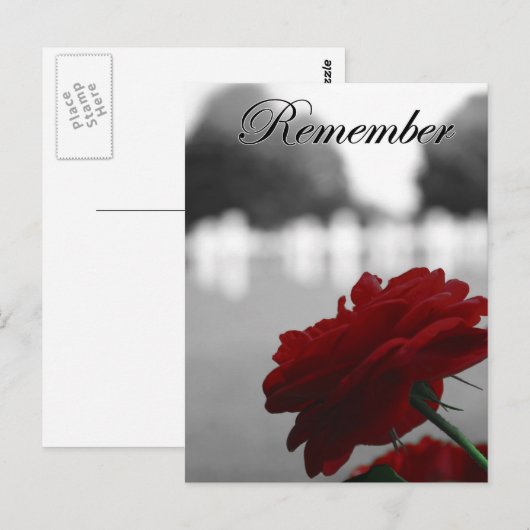 Red Rose herinnert zich herdenkingsdag Briefkaart (Voorkant / Achterkant)