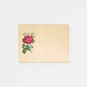 Red Rose Illustration on a Tan Background Post-it® Notes