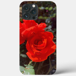 Red Rose iPhone 13 Pro Max Hoesje
