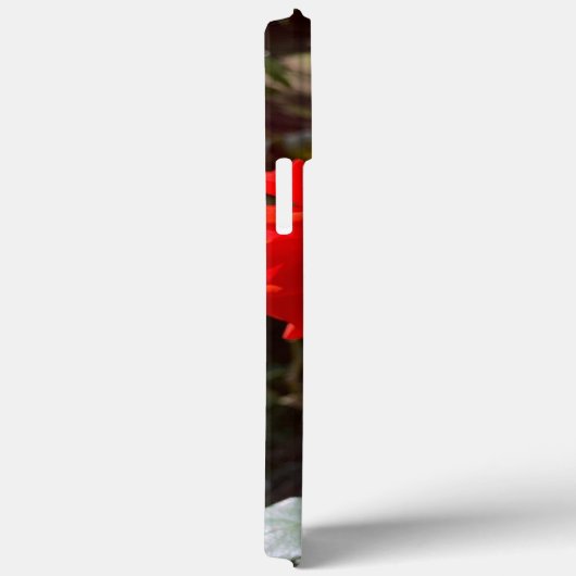 Red Rose iPhone 13 Pro Max Hoesje (Achterkant / Rechts)