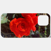 Red Rose iPhone 13 Pro Max Hoesje (Achterkant (horizontaal))