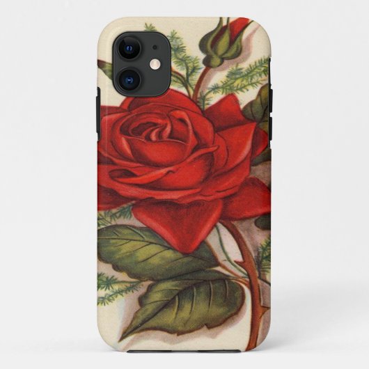 , Red Rose iPhone 5 Barely Daar Hoesje (Achterkant)