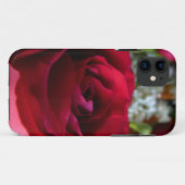 Red Rose iPhone 5 Hoesje Rozen iPhone cases (Achterkant (horizontaal))