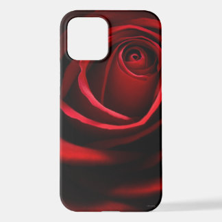 Red Rose iPhone 12 Hoesje