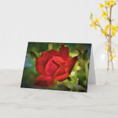 Red Rose, kaart (Gele Bloem)