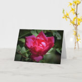 Red Rose, kaart (Gele Bloem)