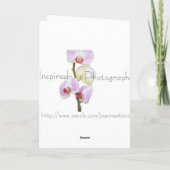 Red Rose Kaart (Achterkant)