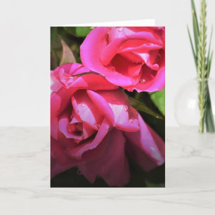Red Rose, kaart