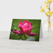 Red Rose, kaart (Gele Bloem)