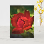 Red Rose, kaart (Gele Bloem)