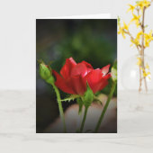 Red Rose, kaart (Gele Bloem)