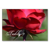 Red Rose Kaart (Achterkant)