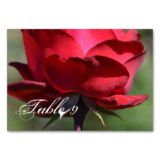 Red Rose Kaart (Voorkant)