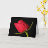 Red Rose Kaart (Gele Bloem)