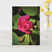 Red Rose, kaart (Gele Bloem)