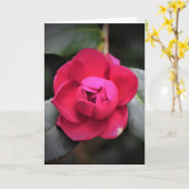 Red Rose, kaart (Gele Bloem)