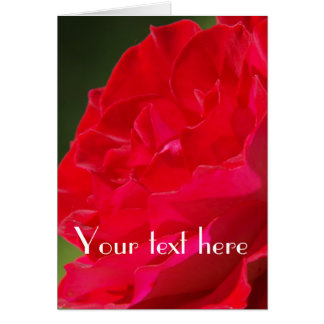 Red Rose - Kaart