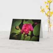 Red Rose, kaart (Gele Bloem)