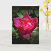 Red Rose, kaart (Gele Bloem)