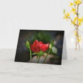 Red Rose, kaart (Gele Bloem)