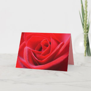 Red Rose Kaarten Red Flowers Custom Wenskaart