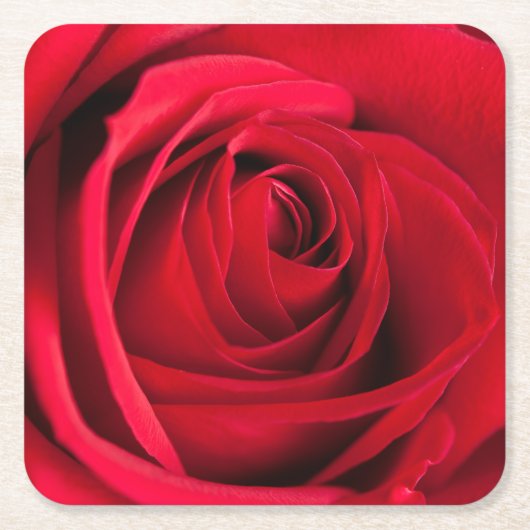 Red Rose Kartonnen Onderzetters (Voorkant)