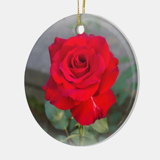 Red Rose Keramisch Ornament (Links)