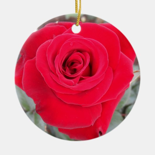 Red Rose Keramisch Ornament (Voorkant)