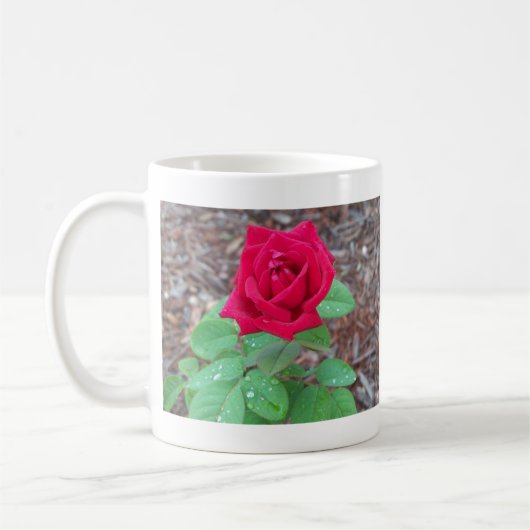 Red Rose Koffiemok (Links)