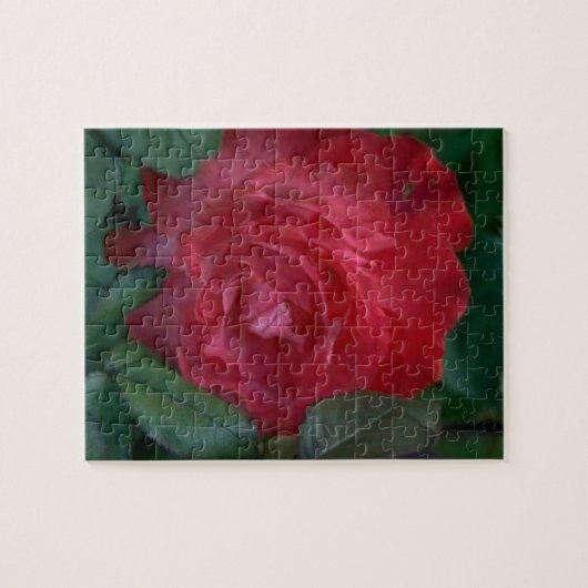 Red Rose Legpuzzel (Horizontaal)