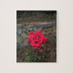 Red Rose Legpuzzel