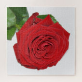 Red Rose Legpuzzel (Horizontaal)