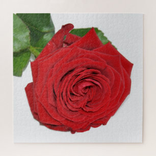 Red Rose Legpuzzel
