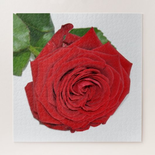 Red Rose Legpuzzel (Horizontaal)