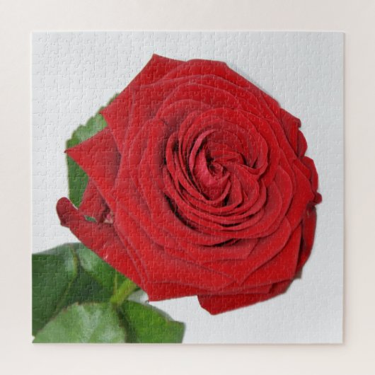 Red Rose Legpuzzel (Verticaal)
