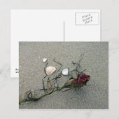 Red Rose Lost op Zee Briefkaart (Voorkant / Achterkant)