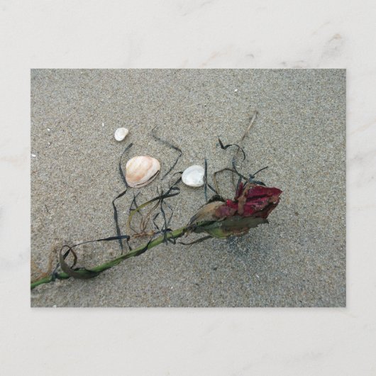 Red Rose Lost op Zee Briefkaart (Voorkant)