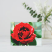 Red Rose Love Bedankt Briefkaart (Staand voorkant)