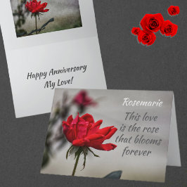 Red Rose Love Blooms Romantisch Jubileum Kaart