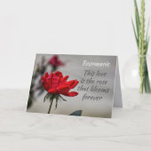 Red Rose Love Blooms Romantisch Jubileum Kaart (Voorkant)
