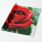 Red Rose Love Cadeaupapier (Uitgerold)