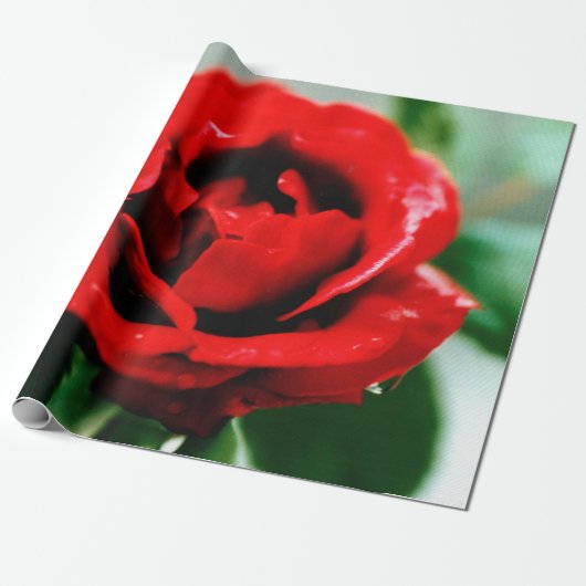 Red Rose Love Cadeaupapier (Uitgerold)