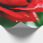 Red Rose Love Cadeaupapier (Hoek)