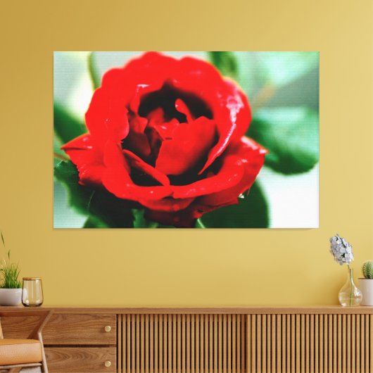 Red Rose Love Canvas Print (Insitu (Woonkamer))